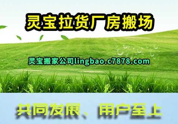 �鱦���������᳡