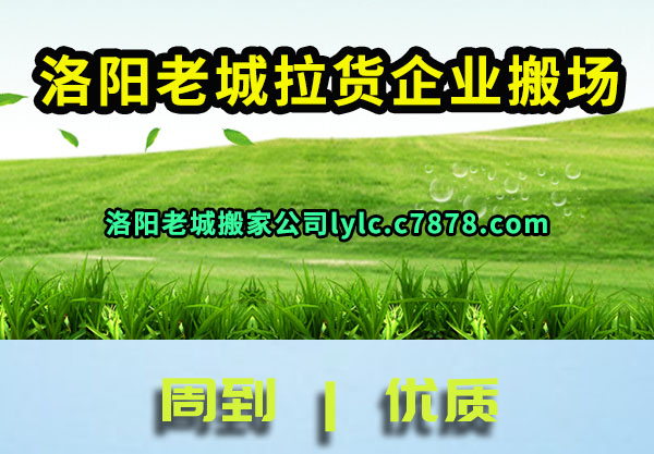 �����ϳǰ��