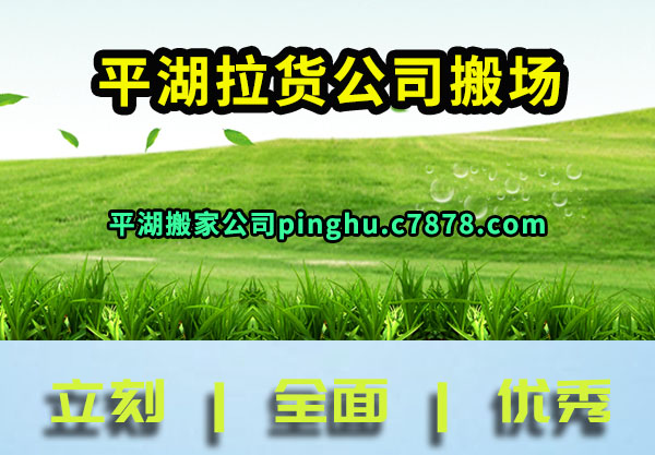 ƽ��������˾�᳡