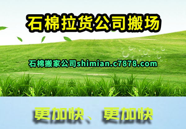 ʯް